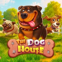 The Dog House Megaways